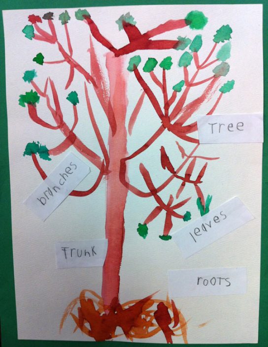 parts-of-a-tree-1 - LePort Montessori Schools